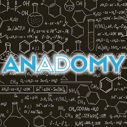 Anadomy - Nicholas Kusmich & Jonathan Musgrave