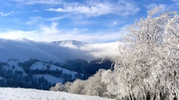Из-за снегопадов над Закарпатьем нависла угроза лавин