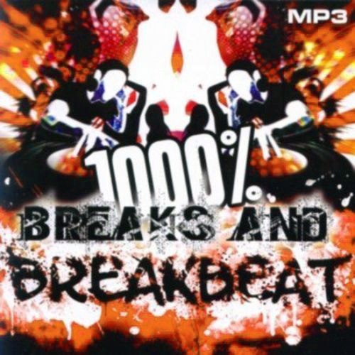 1000 % BreakBeat Vol. 169 (2017)