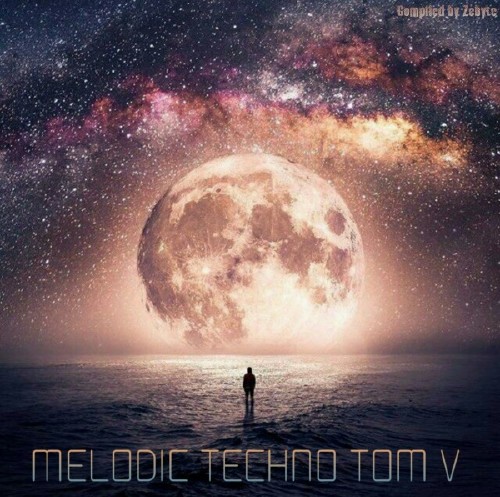 Melodic Techno Tom V (2017)
