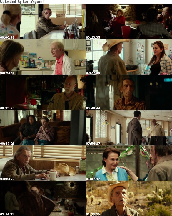 Lucky 2017 WEB-DL XviD MP3-FGT