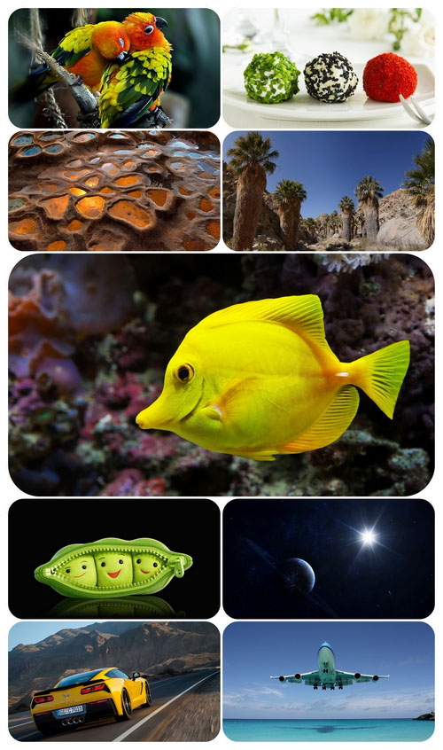 Beautiful Mixed Wallpapers Pack 631