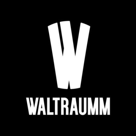 One Year With Waltraumm (2017) FLAC