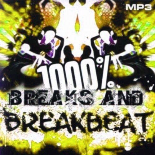 1000 % BreakBeat Vol. 173 (2017)