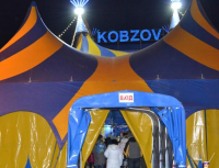 Вспышка кори в Киеве: цирк "Кобзов" продолжит работу, невзирая на советы властей