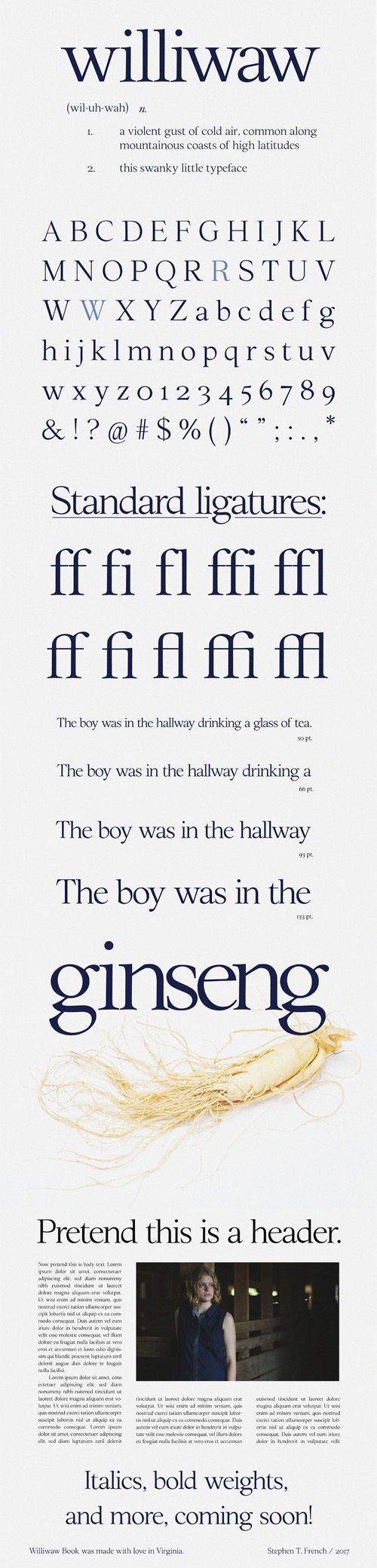 Williwaw Book Typeface (OTF)