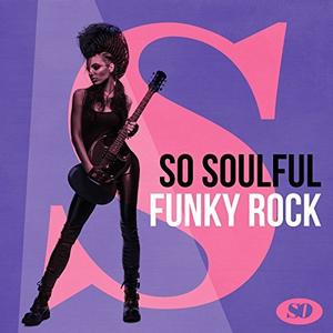 VA - So Soulful Funky Rock (2017) {X5 Music GroupWarner Music Group}