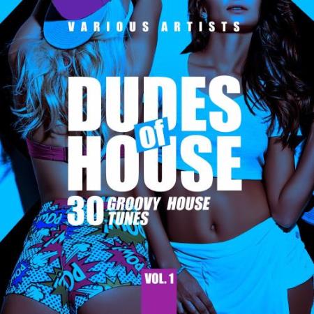 Dudes of House (30 Groovy House Tunes), Vol. 1 (2018)