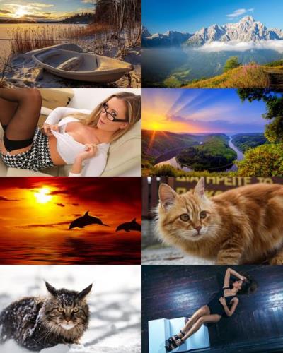 Wallpapers Mix №644
