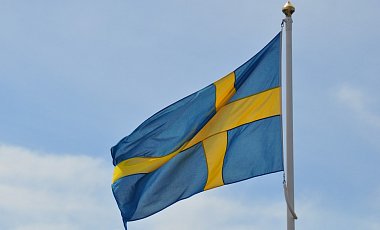 Намекают на РФ: в Швеции боятся вмешательства в свои выборы
