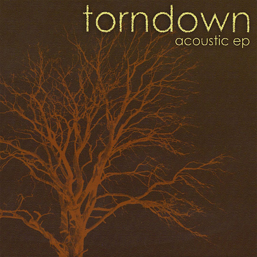 Torndown - Дискография