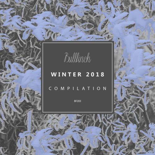 Bullfinch Winter 2018 (2018)