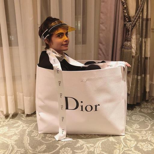 Расправа Делевинь посмеялась над брендом Dior