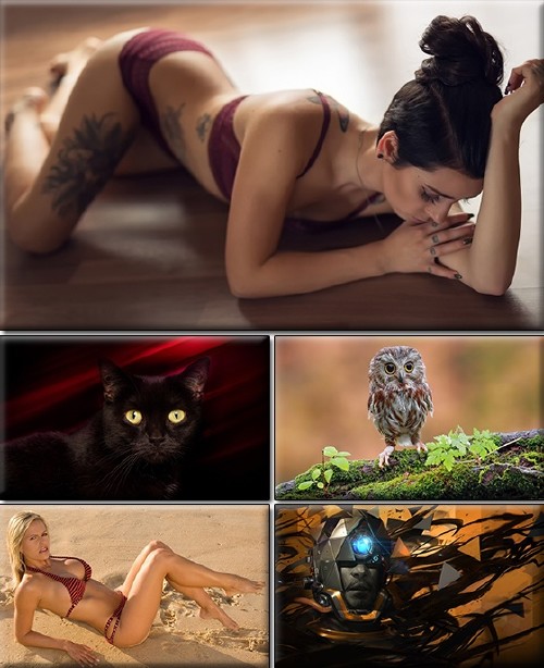 LIFEstyle News MiXture Images. Wallpapers Part (1361)
