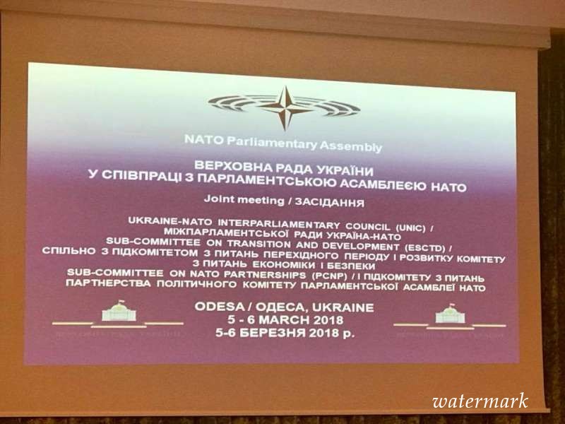 Засідання Міжпарламентської ради Україна-НАТО відбувається спільно з виїзним засіданням підкомітетів Політичного комітету і Комітету з питань економіки і безпеки ПА НАТО