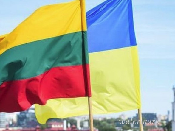 Литва именовала ключевые трудности Украины в реализации плана Маршалла