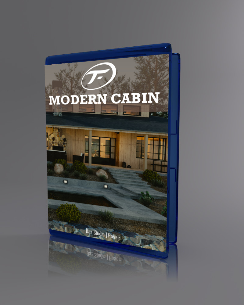 Modern Cabin