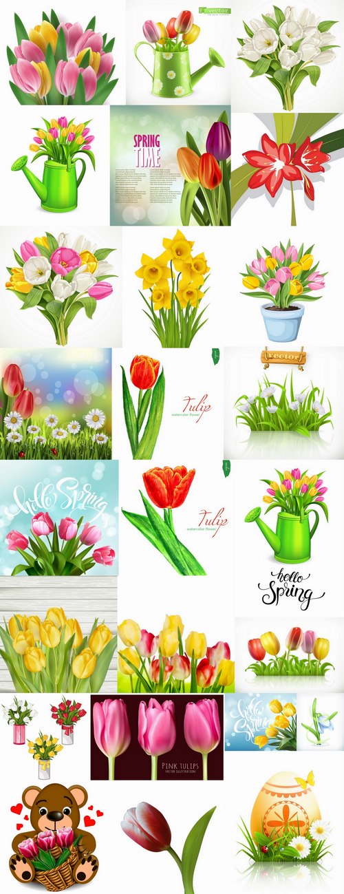 Tulip snowdrop flower basket Spring warmth flyer banner card cover 25 EPS