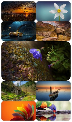 Beautiful Mixed Wallpapers Pack 701