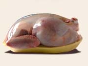 Украина стала руководителем по экспорту мяса птицы в ЕС / Новинки / Finance.ua