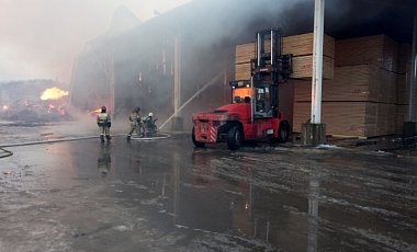В Рф пламенеет наикрупнейший в стране деревообрабатывающий завод