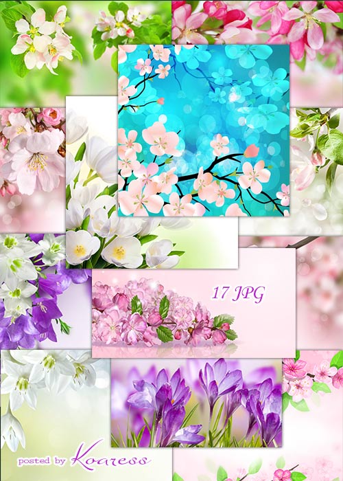 Цветочные фоны jpg для дизайна - Весенние цветы