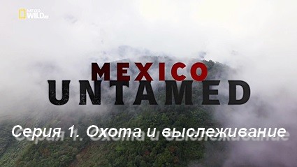 Непокорная Мексика (2018) HDTV  Серия 1. Охота и выслеживание