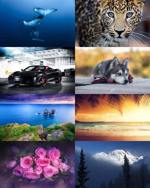 Wallpapers Mix №702