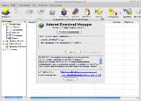 Internet Download Manager 6.30 Build 7 RePack