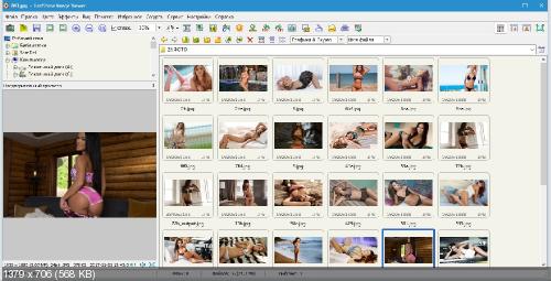 FastStone Image Viewer 6.8 Corporate Final + Portable